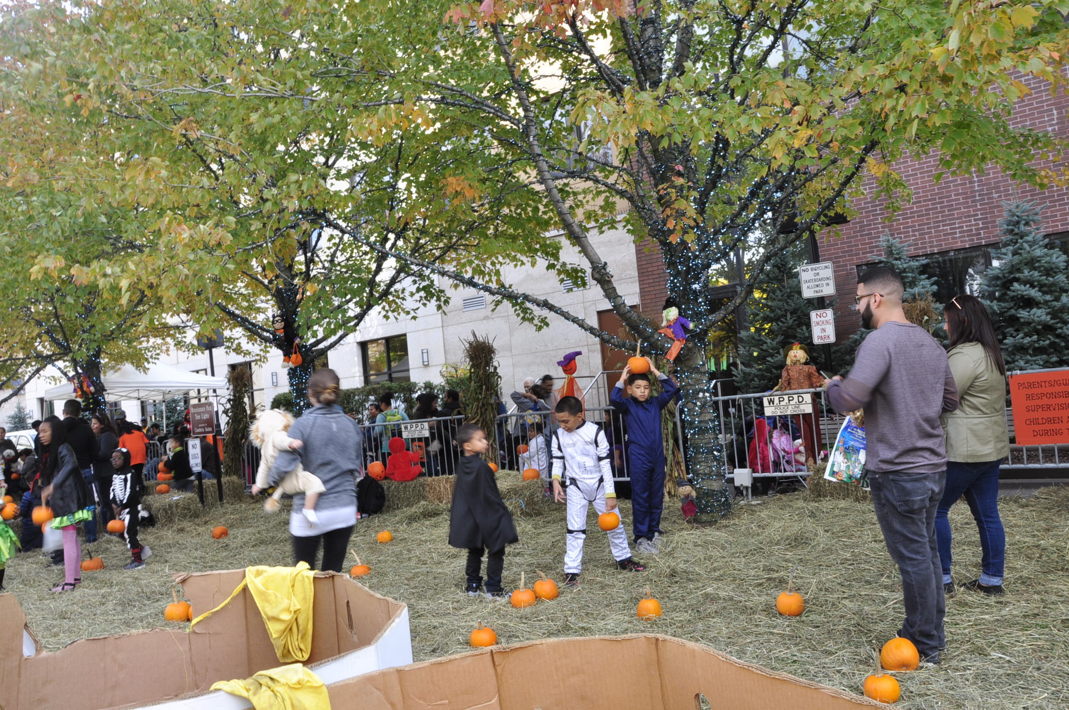 Halloween event and Foliage 072